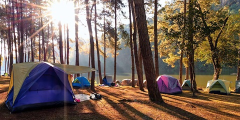 Camping by lake.jpg