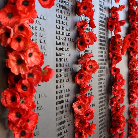 Remembrance-Day-Ceremonies.jpg