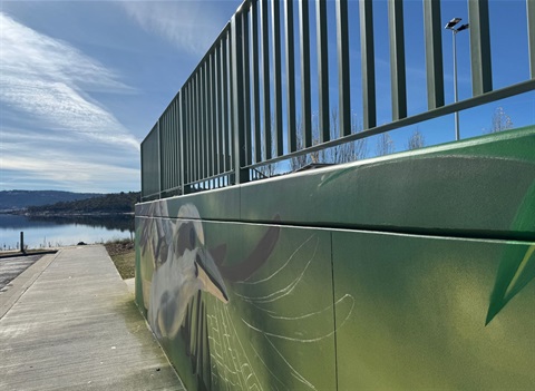A work-in-progress photograph of the work-in-progress mural at Jindabyne Skate Park, showing a half-painted kookaburra on a green background. Lake Jindabyne is in the background of the photo.