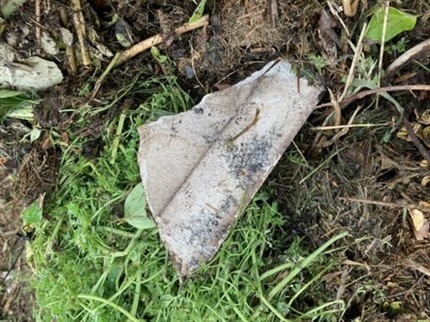 Asbestos dumped in FOGO bins.jpg