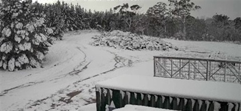 Bombala landfill snow day 15 09 2024