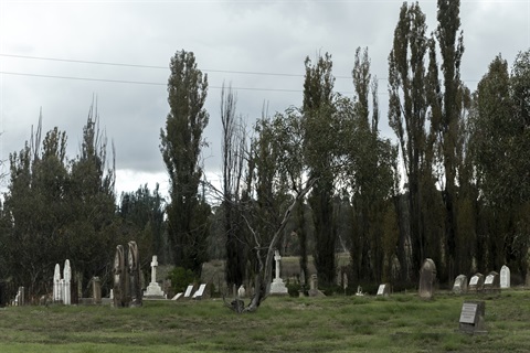 Christ Church Cemetery.jpg