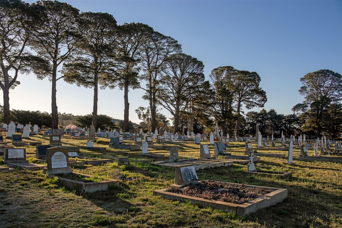 The old section of Cooma Cemetery in 2021 with historic gravesites shaded by fir trees in the late afternoon sun.