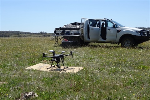 Drone at Snowy Plain