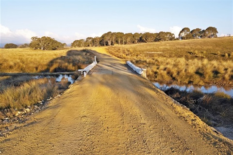 Nivens Bridge in 2021 in the late afternoon, with paddocks and gumtrees in the background.