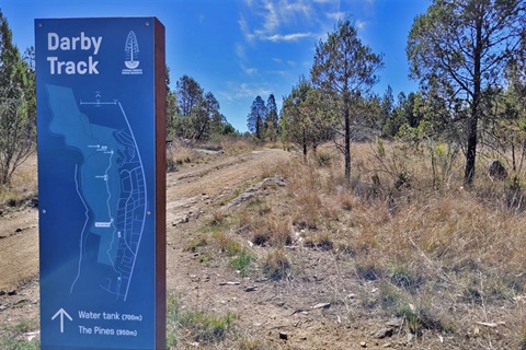 Sign for the Darby Track set against a summer Australian bush landscape, with a gravel path heading uphill.