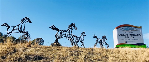 Brumby Sculptures 1.jpg